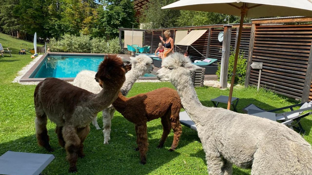 Dolomit Boutique Hotel La Villa (Trentino Alto Adige) Exterior foto
